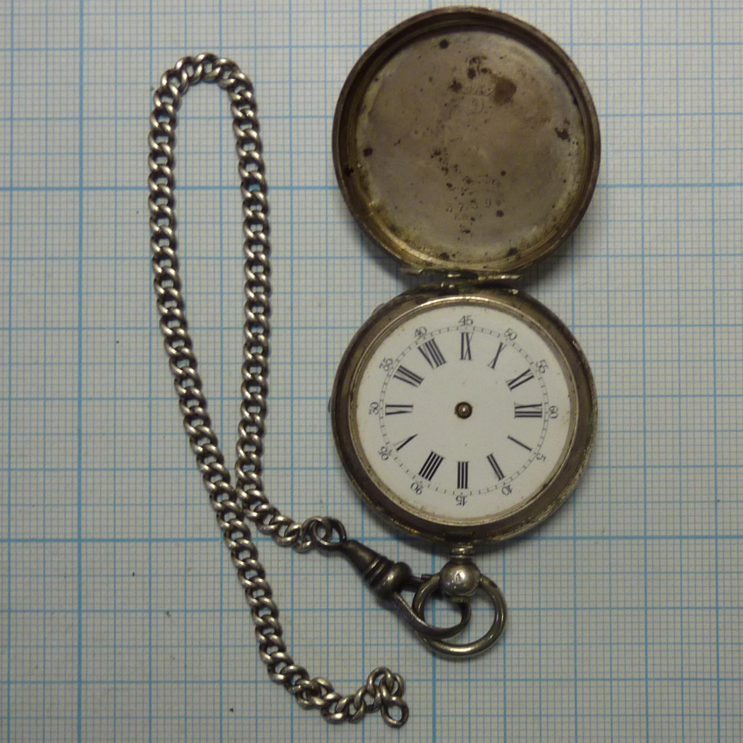 Terraria карманные часы фото 105